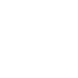 Local Experts with a Global Mindset